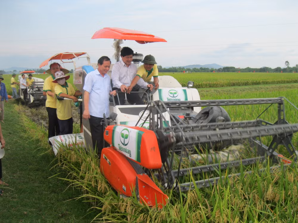 Nouvelle ruralité : développement rapide des infrastructures ảnh 1