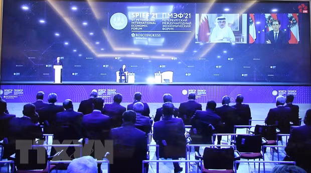 Le Vietnam assiste au Forum économique international de Saint-Pétersbourg ảnh 1