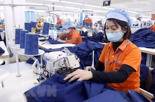 Le commerce Vietnam-Laos renoue avec la croissance ảnh 1