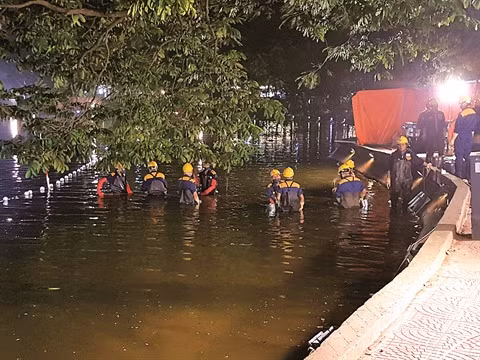 La capitale Hanoi a un plan pour la biodiversité ảnh 2