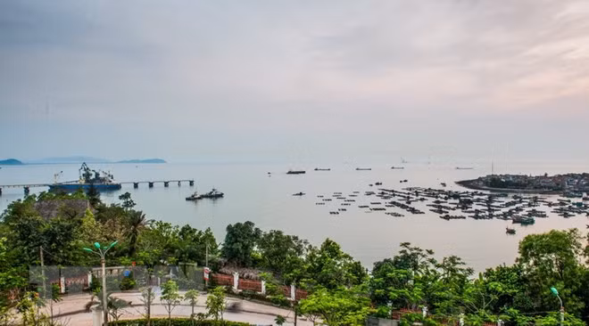 La presse égyptienne loue des perspectives de coopération avec le Vietnam ảnh 1