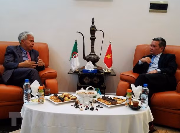 Le Vietnam promeut le commerce et l'investissement en Algérie ảnh 1