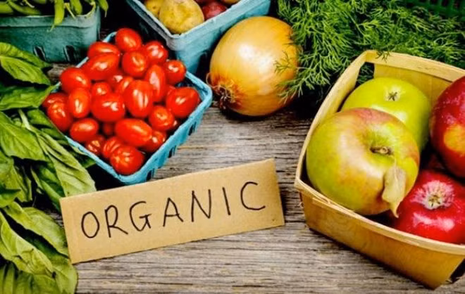 L'Indonésie renforce l'exportation de produits bio ảnh 1