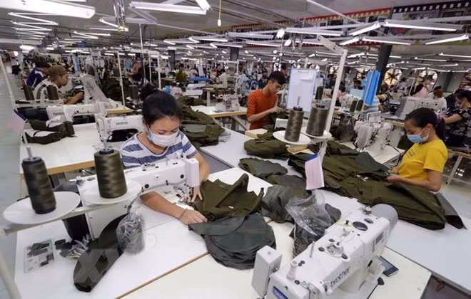 Des signes positifs pour le commerce Vietnam-République tchèque ảnh 1