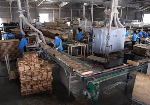 Filière bois: 10 milliards de dollars d’exportations visés en 2020 ảnh 1