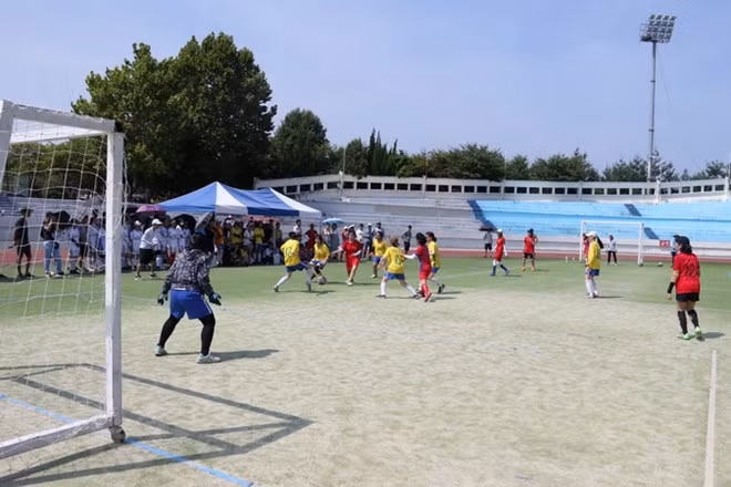 Le 11e Congrès sportif des étudiants vietnamiens en République de Corée ảnh 1 Le 11e Congrès sportif des étudiants vietnamiens en République de Corée ảnh 1