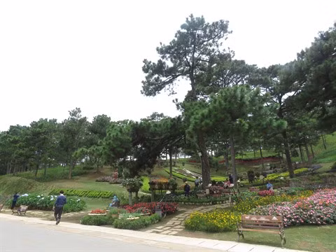 Lâm Dông : Dà Lat, la ville noyée dans la verdure ảnh 4
