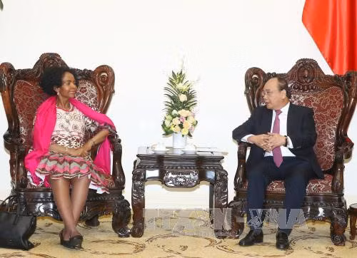 Le Vietnam considère l'Afrique du Sud comme un partenaire de premier plan en Afrique ảnh 1