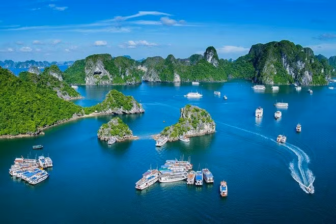 Tourisme maritime du Vietnam: croissance impressionnante ảnh 1