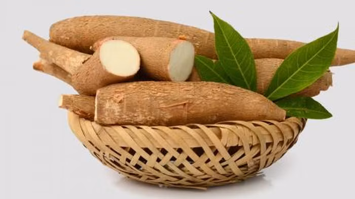Manioc: le Vietnam vend moins mais gagne plus ảnh 1 Manioc: le Vietnam vend moins mais gagne plus ảnh 1