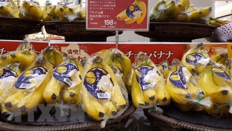 La JICA aide à affirmer la position des produits agricoles vietnamiens ảnh 1 La JICA aide à affirmer la position des produits agricoles vietnamiens ảnh 1