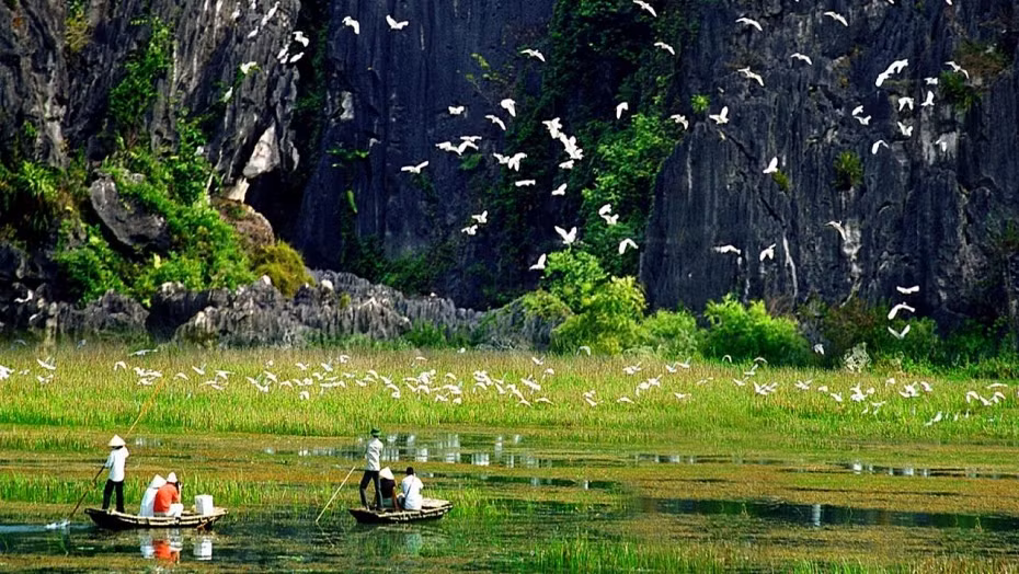 Relier le développement de l’écotourisme à la conservation de la biodiversité ảnh 1