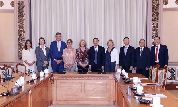 Hô Chi Minh-Ville promeut sa coopération avec des partenaires français ảnh 1