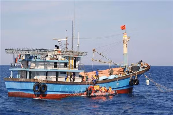 Phu Yên empêche ses bateaux de pêche de violer les eaux étrangères ảnh 1 Phu Yên empêche ses bateaux de pêche de violer les eaux étrangères ảnh 1