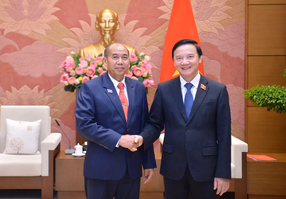 Promotion de la coopération entre les Assemblées nationales du Vietnam et du Laos ảnh 1