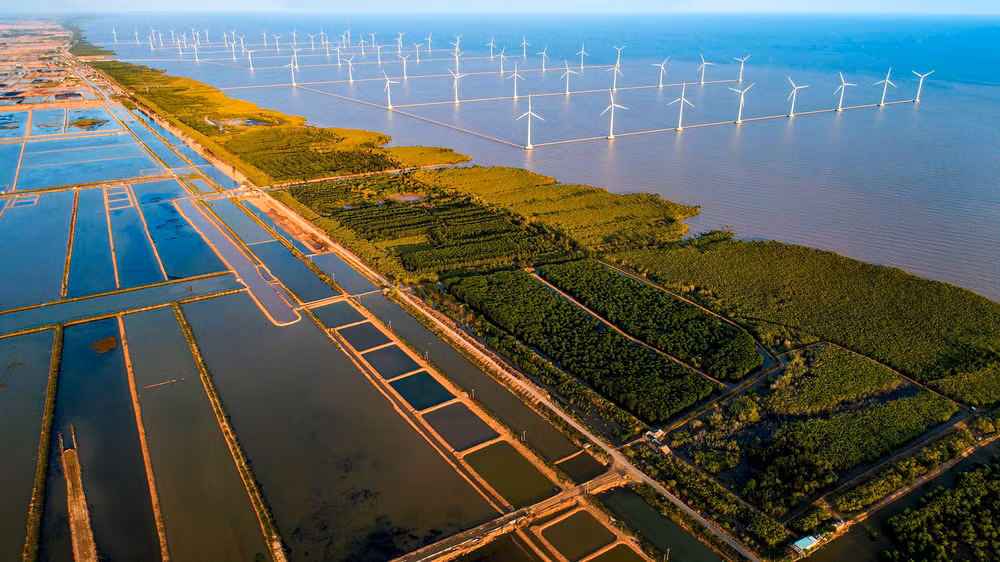 Promouvoir la coopération internationale pour une transition énergétique nationale efficiente ảnh 2