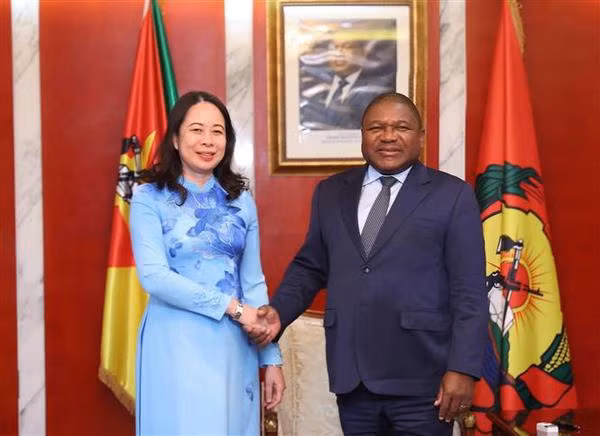Une nouvelle étape dans les relations Vietnam - Mozambique et Vietnam - Afrique du Sud ảnh 1