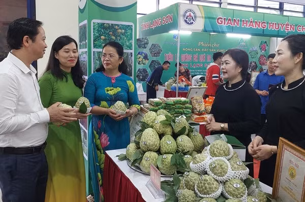 Un salon de promotion des produits agricoles vietnamiens et étrangers ảnh 1