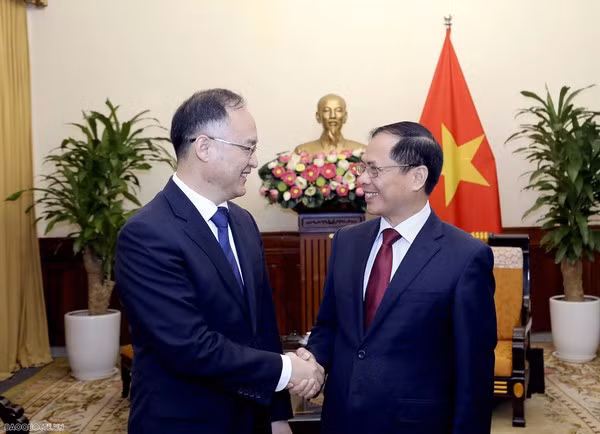 Le ministre vietnamien des AE reçoit l'assistant du ministre chinois des AE ảnh 1