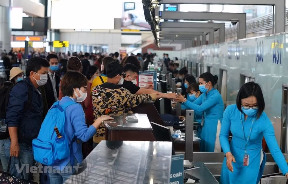 Les agences de voyage s’efforcent de relancer le tourisme ảnh 1