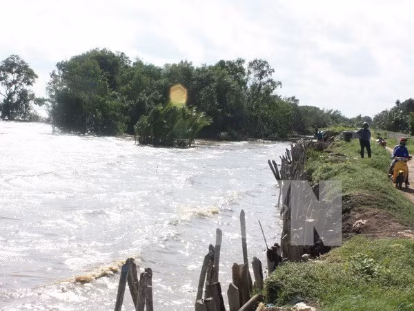 Colloque sur le développement durable du delta du Mékong ảnh 1