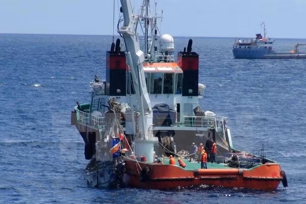 CASA 212 : récupération des boîtes noires et de deux nouveaux corps ảnh 1 CASA 212 : récupération des boîtes noires et de deux nouveaux corps ảnh 1
