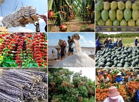 Les exportations agricoles, sylvicoles et aquatiques atteignent 15 mds d’USD en 6 mois ảnh 1 Les exportations agricoles, sylvicoles et aquatiques atteignent 15 mds d’USD en 6 mois ảnh 1