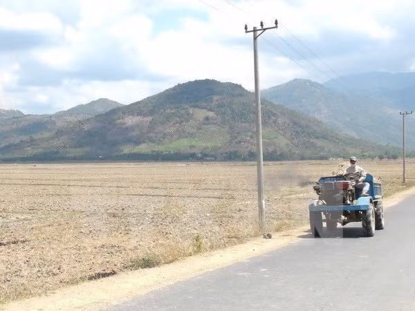 La BM soutient l'adaptation au changement climatique et la croissance verte au Vietnam ảnh 1
