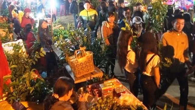 Les activités culturelles et festives battent leur plein ảnh 4