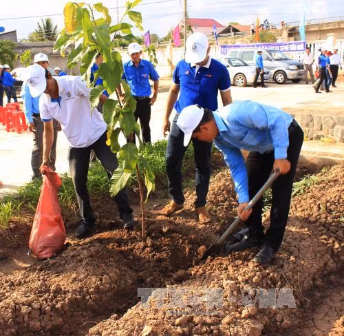 Hanoi lance la Fête de la plantation d'arbres 2016 ảnh 1