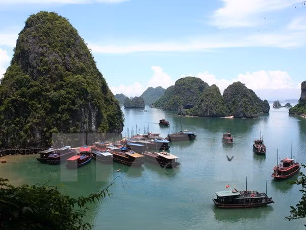 L'intégration à l'ASEAN dopera le tourisme vietnamien ảnh 1