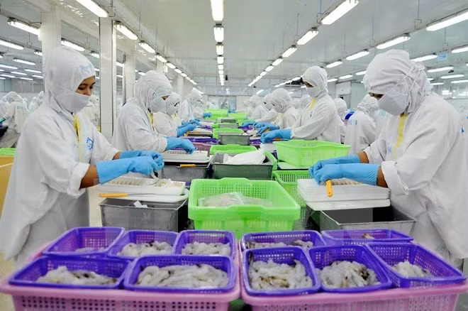 La coopération publique-privée pour le développement durable de l’aquiculture ảnh 1 La coopération publique-privée pour le développement durable de l’aquiculture ảnh 1