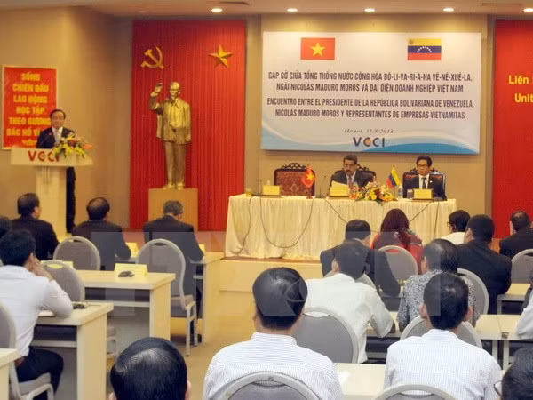 Promotion de la coopération multiforme Vietnam-Venezuela ảnh 1