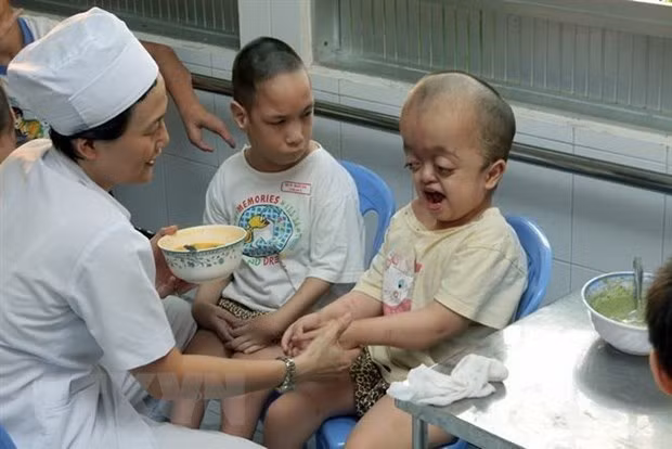 Mobilisation des ressources pour adoucir la douleur de l'agent orange ảnh 2