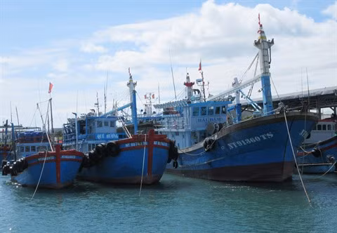 Pêche INN : le Vietnam décidé à faire retirer le "carton jaune" ảnh 1