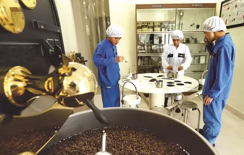 Agriculture: pour des produits à forte valeur ajoutée ảnh 2