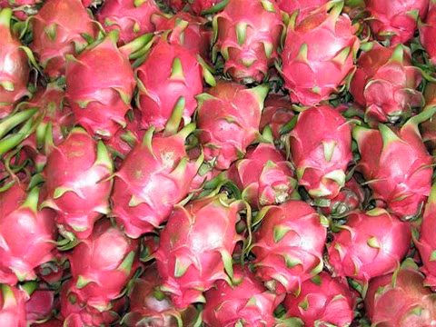  Les fruits vietnamiens de plus en plus populaires au Canada ảnh 1