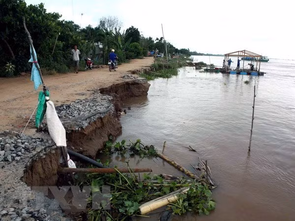 Le Fonds vert pour le climat financera un projet du delta du Mékong ảnh 1