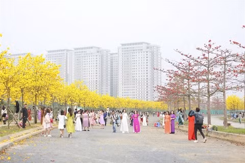 Hanoï sous le charme des fleurs de mars ảnh 1