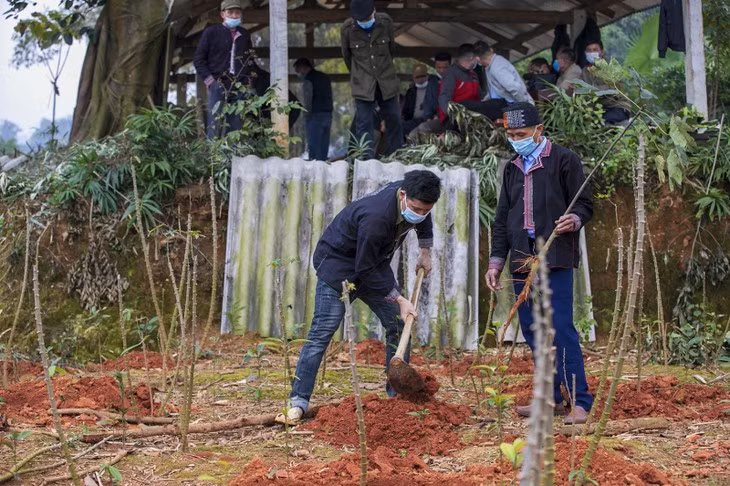 Le culte du génie de la forêt des Dao rouges ảnh 2