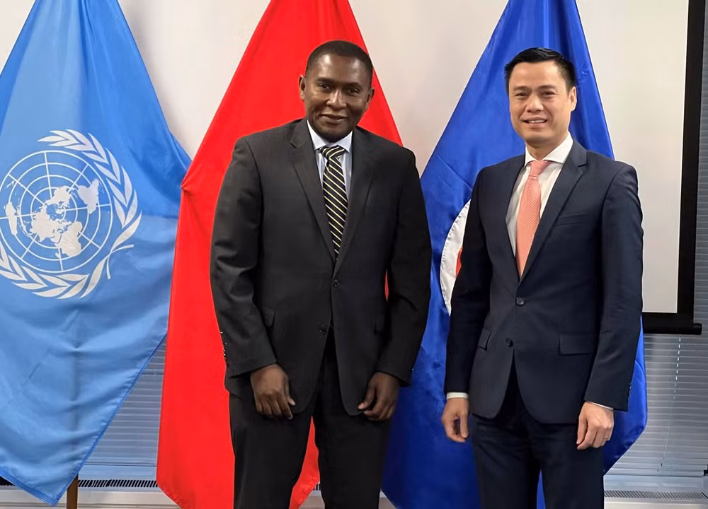 L'ONU affirme aider le Vietnam à répondre au changement climatique ảnh 1