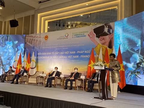 Vietnam - Francophonie : les entreprises à la recherche de partenariat dans trois filières ảnh 3