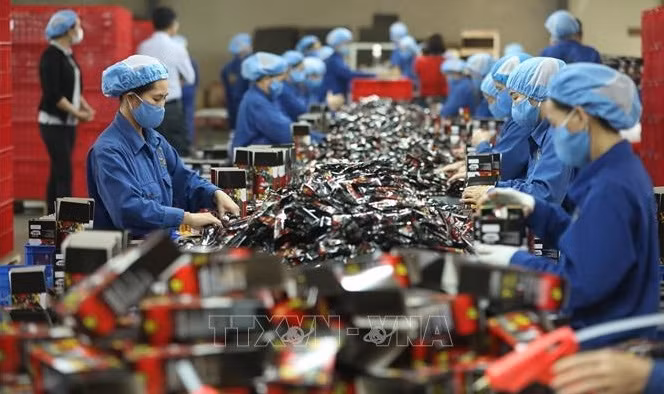 SABS 2022 : les investisseurs étrangers s’intéressent à la future main-d'œuvre vietnamienne ảnh 1 SABS 2022 : les investisseurs étrangers s’intéressent à la future main-d'œuvre vietnamienne ảnh 1