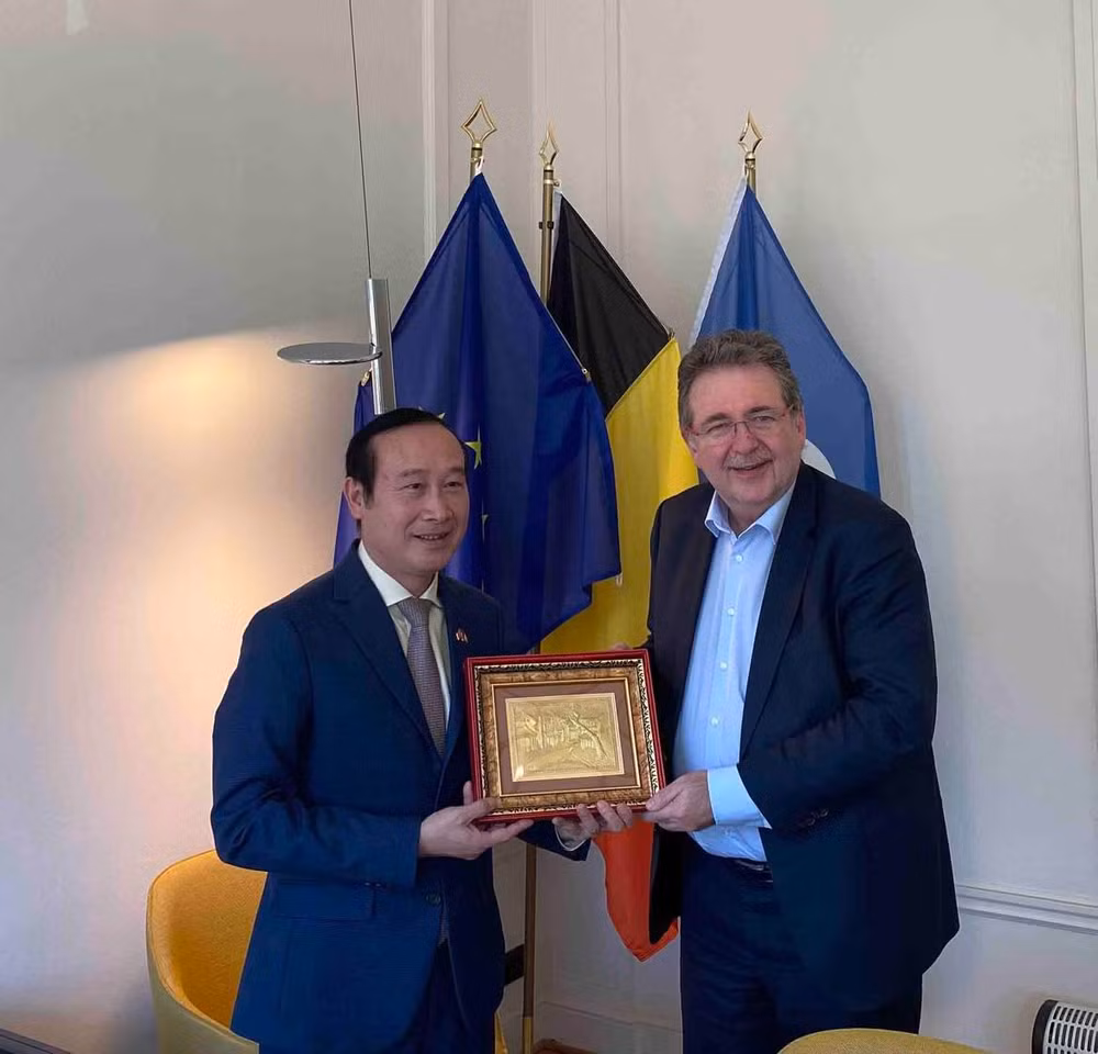 Renforcement de la coopération entre le Vietnam et la Région de Bruxelles-Capitale ảnh 1