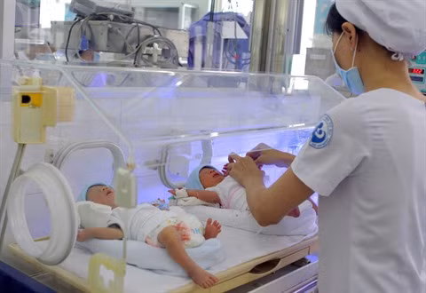 Cân Tho accueille le millième enfant ảnh 2
