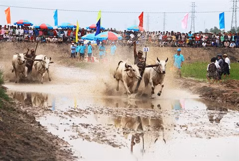An Giang veut devenir un aimant à touristes du delta du Mékong ảnh 2
