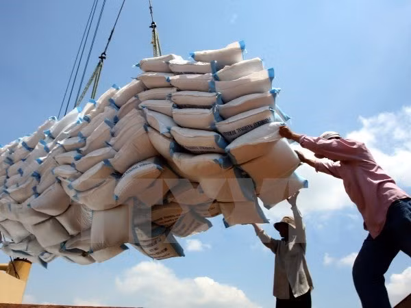 Agriculture : excédent commercial au premier trimestre ảnh 1