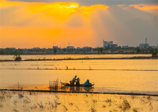 Développement économique dans le delta du Mékong : relancer l'élan ảnh 1