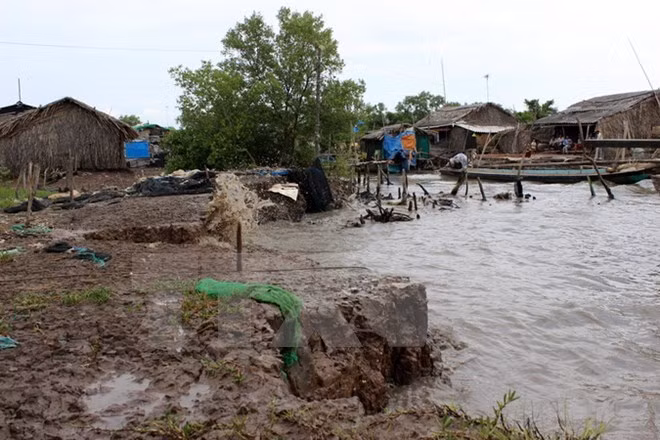 Environnement durable : la BM étudie un projet dans des villes côtières au Centre ảnh 1