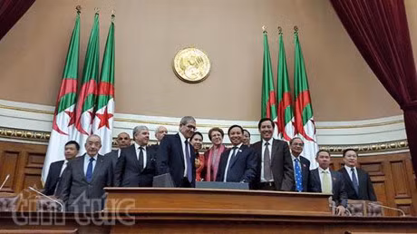 Renforcement des relations d'amitié traditionnelles Vietnam-Algérie ảnh 1